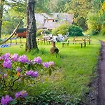 Privatunterkunft Naturraum - Wellnessoase Am Mittelrheintal