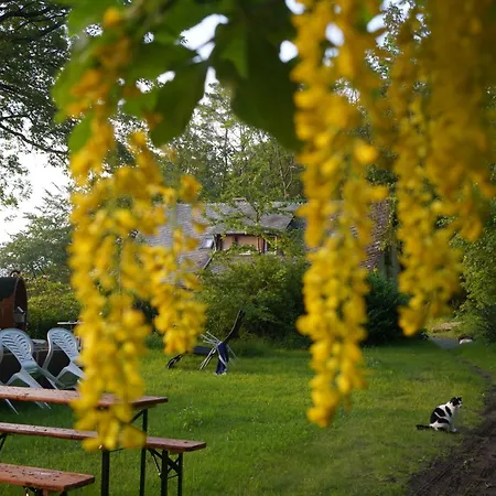 Naturraum - Wellnessoase Am Mittelrheintal *