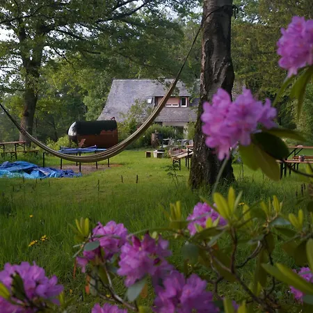 Naturraum - Wellnessoase Am Mittelrheintal Pfalzfeld