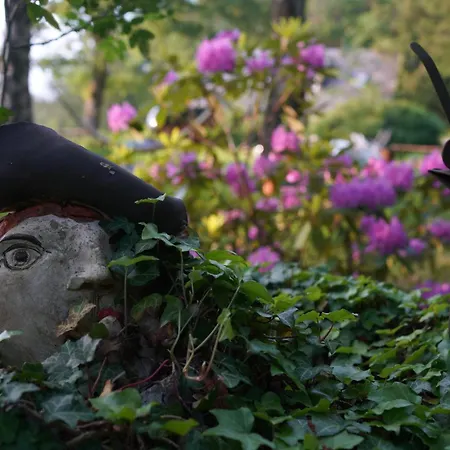 Naturraum - Wellnessoase Am Mittelrheintal Homestay *