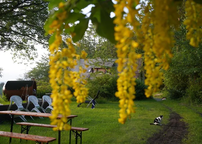 Naturraum - Wellnessoase Am Mittelrheintal *