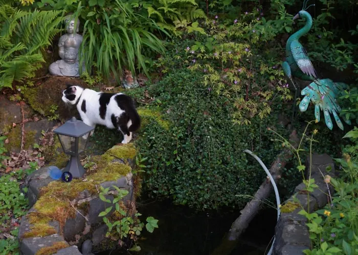 Homestay Naturraum - Wellnessoase Am Mittelrheintal *