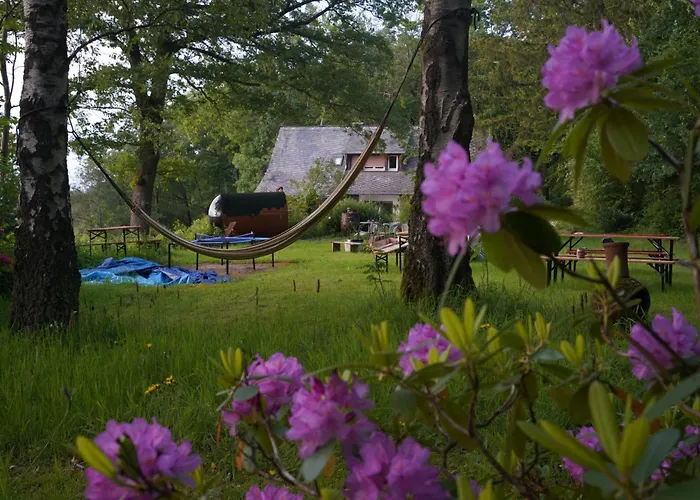 Naturraum - Wellnessoase Am Mittelrheintal Pfalzfeld