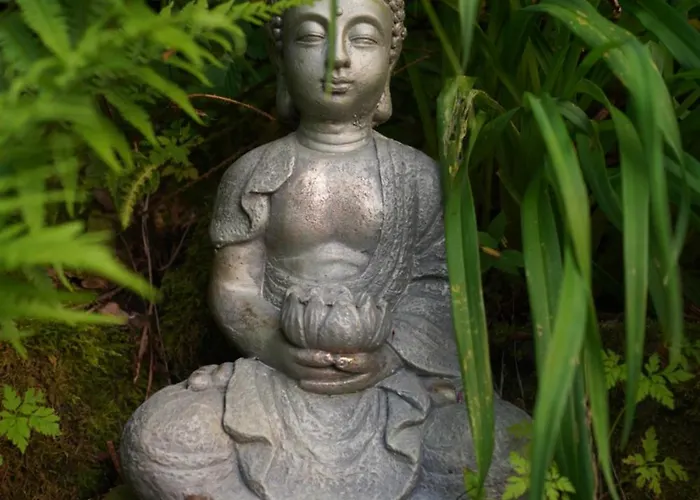 Naturraum - Wellnessoase Am Mittelrheintal